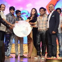 Varna Movie Audio Launch Function Photos | Picture 619211