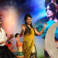 Nikitha Narayan - Varna Movie Audio Launch Function Photos | Picture 618887