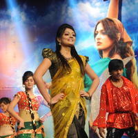Nikitha Narayan - Varna Movie Audio Launch Function Photos | Picture 618893