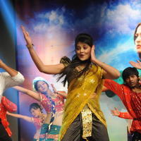 Nikitha Narayan - Varna Movie Audio Launch Function Photos | Picture 618894