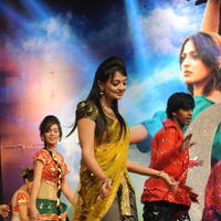 Nikitha Narayan - Varna Movie Audio Launch Function Photos | Picture 618896
