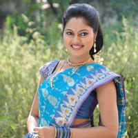 Suhasini Latest Saree Photos | Picture 620472