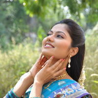 Suhasini Latest Saree Photos | Picture 620404