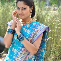 Suhasini Latest Saree Photos | Picture 620425