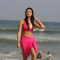 Neelam Upadhyay Latest Hot Photos | Picture 620793