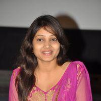 Priyanka (Actress) - Naa sami Ranga Movie Press Meet Pictures | Picture 570342