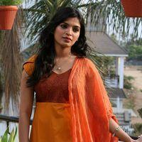 Sanchita Shetty - Pizza 2 Telugu Movie Photos | Picture 570450