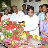 Tammareddy Krishna Murthy Passes Away Stills | Picture 574359