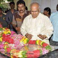Akkineni Nageswara Rao - Tammareddy Krishna Murthy Passes Away Stills