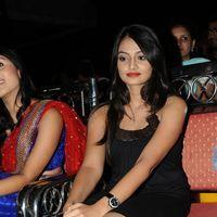 Nikitha Narayan Hot Photos at Second Hand Audio Launch | Picture 576424