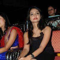 Nikitha Narayan Hot Photos at Second Hand Audio Launch | Picture 576428