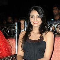 Nikitha Narayan Hot Photos at Second Hand Audio Launch | Picture 576437