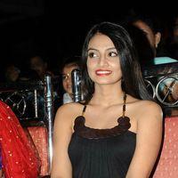 Nikitha Narayan Hot Photos at Second Hand Audio Launch | Picture 576445