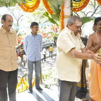 Nenu Naa Friends Movie Opening Pictures | Picture 585314