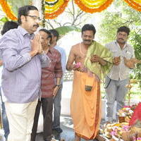 Nenu Naa Friends Movie Opening Pictures | Picture 585322
