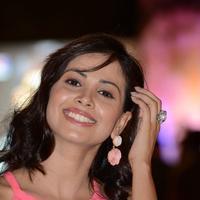 Supriya Shailja - Weekend Love Movie Audio Launch Pictures | Picture 741833