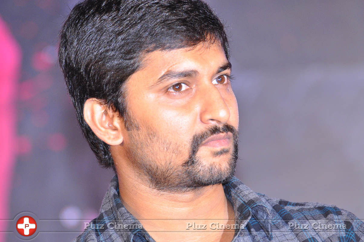 Nani - Pyar Mein Padipoyane Movie Audio Release Pictures | Picture 744288
