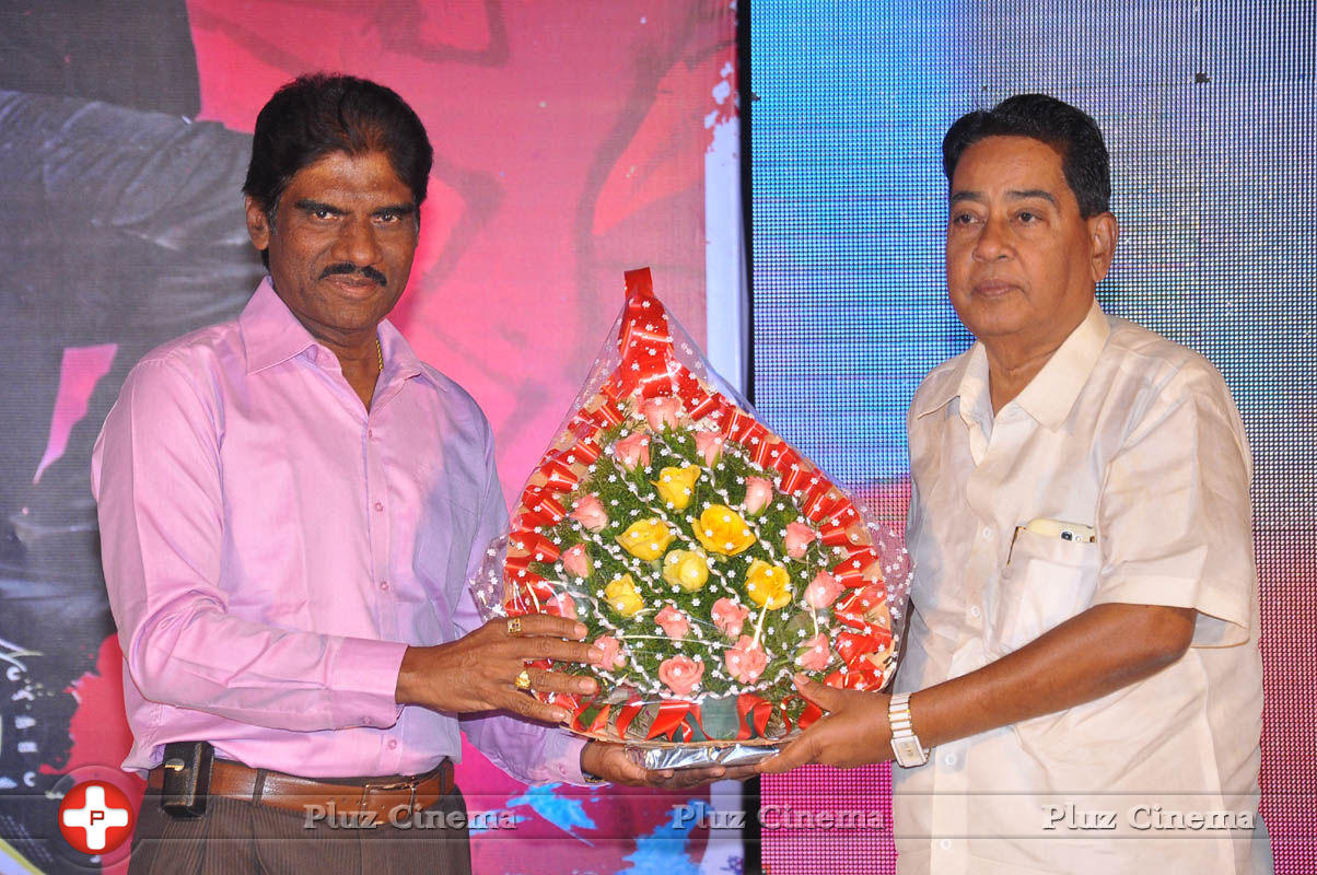 Pyar Mein Padipoyane Movie Audio Release Pictures | Picture 744290