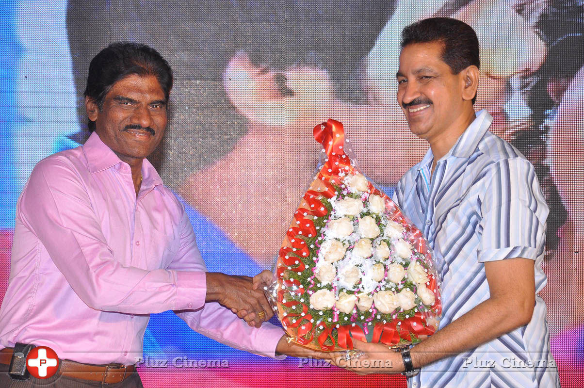 Pyar Mein Padipoyane Movie Audio Release Pictures | Picture 744356