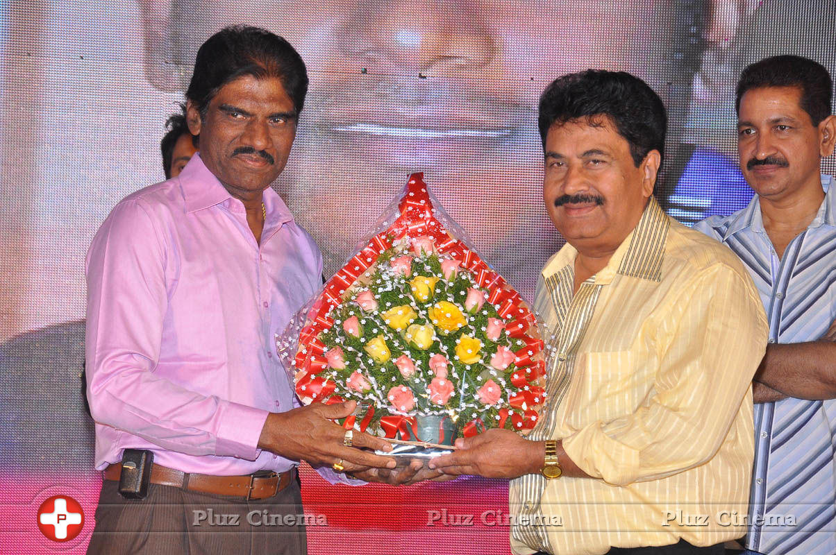 Pyar Mein Padipoyane Movie Audio Release Pictures | Picture 744377