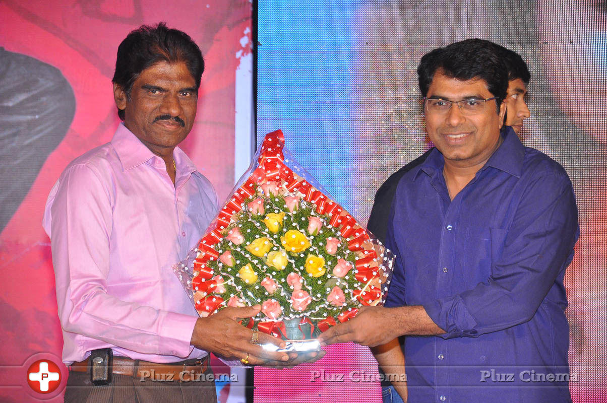 Pyar Mein Padipoyane Movie Audio Release Pictures | Picture 744378