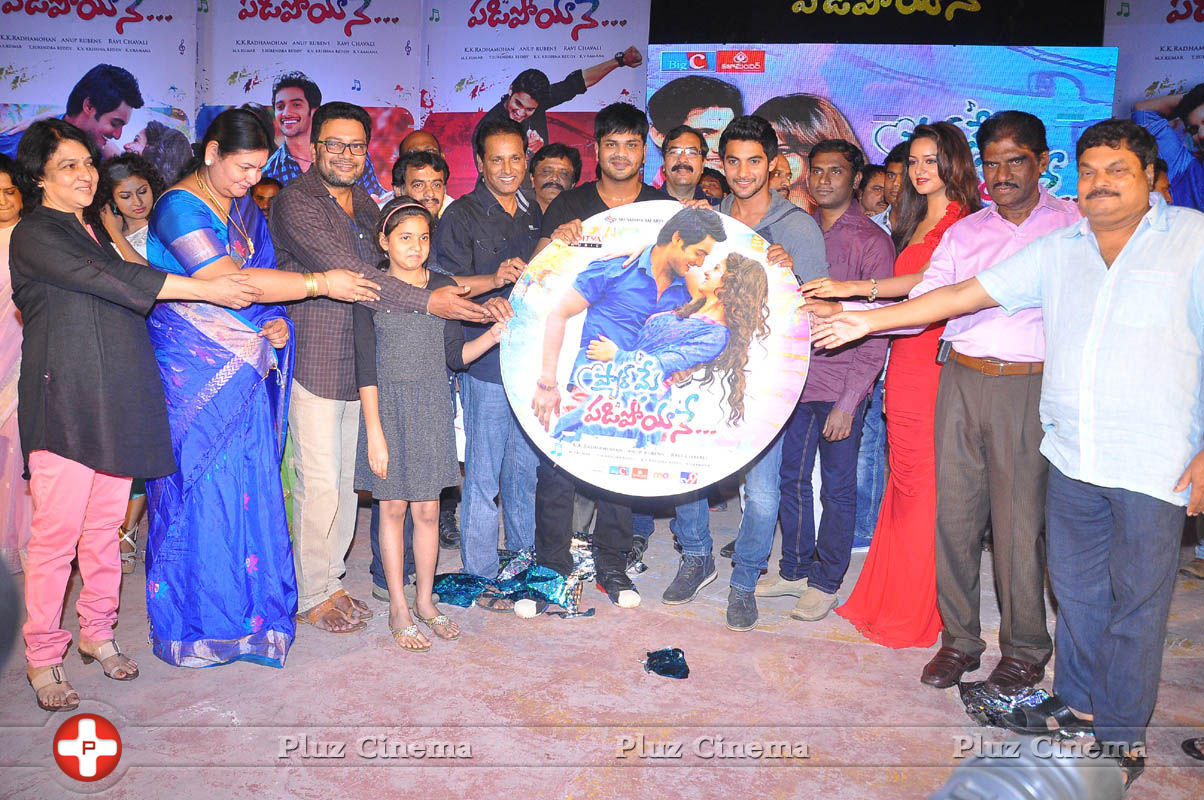 Pyar Mein Padipoyane Movie Audio Release Pictures | Picture 744442