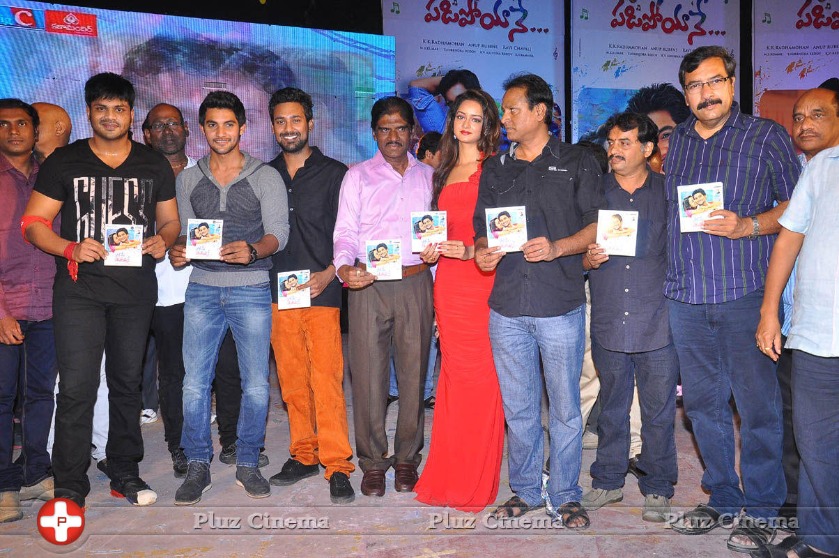 Pyar Mein Padipoyane Movie Audio Release Pictures | Picture 744458