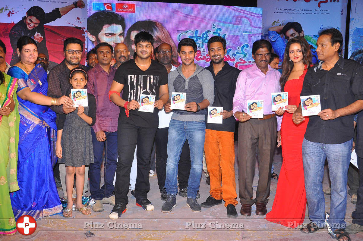 Pyar Mein Padipoyane Movie Audio Release Pictures | Picture 744460