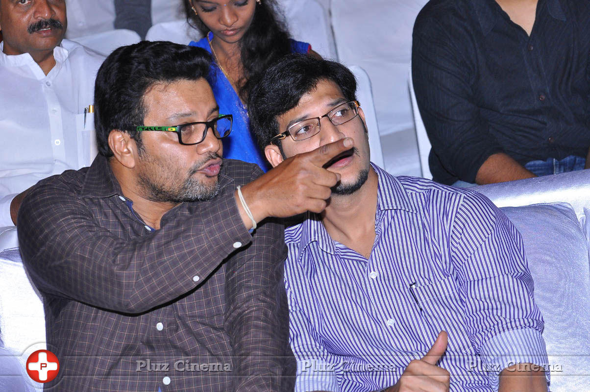 Pyar Mein Padipoyane Movie Audio Release Pictures | Picture 744487