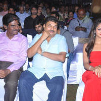 Pyar Mein Padipoyane Movie Audio Release Pictures | Picture 744335
