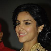 Priya Anand Latest Images | Picture 744106