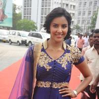Priya Anand Latest Images | Picture 744116