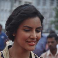 Priya Anand Latest Images | Picture 744121