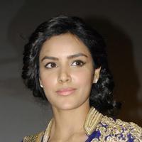 Priya Anand Latest Images | Picture 744122