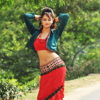 Shanvi - Pyar Mein Padipoyane Movie Latest Photos | Picture 744565