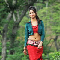 Shanvi Srivastava - Pyar Mein Padipoyane Movie Latest Photos