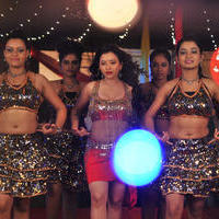 Swetha Basu Prasad - Swetha Basu Hot Item Song in Intelligent Idiots Movie Stills | Picture 744710