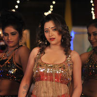 Swetha Basu Prasad - Swetha Basu Hot Item Song in Intelligent Idiots Movie Stills | Picture 744713