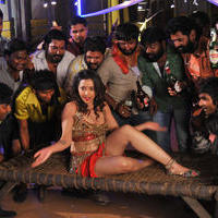 Swetha Basu Prasad - Swetha Basu Hot Item Song in Intelligent Idiots Movie Stills | Picture 744716