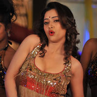 Swetha Basu Prasad - Swetha Basu Hot Item Song in Intelligent Idiots Movie Stills | Picture 744720