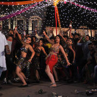 Swetha Basu Prasad - Swetha Basu Hot Item Song in Intelligent Idiots Movie Stills | Picture 744721