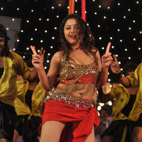 Swetha Basu Prasad - Swetha Basu Hot Item Song in Intelligent Idiots Movie Stills | Picture 744733