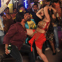 Swetha Basu Prasad - Swetha Basu Hot Item Song in Intelligent Idiots Movie Stills | Picture 744734