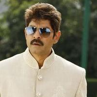 Jagapathi Babu - April Fool Movie New Pictures | Picture 745745