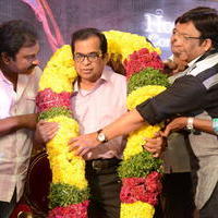Brahmanandam - Geethanjali Movie First Look Launch Pictures