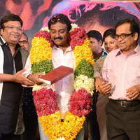 Geethanjali Movie First Look Launch Pictures | Picture 746644