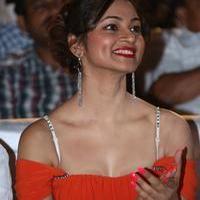 Shilpi Sharma - Green Signal Movie Audio Release Photos | Picture 746208