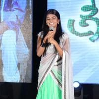 Hasika - Green Signal Movie Audio Release Photos | Picture 746267
