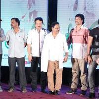 Green Signal Movie Audio Release Photos | Picture 746321