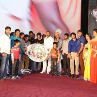 Green Signal Movie Audio Release Photos | Picture 746369